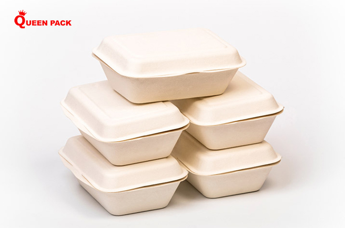 các loại hộp bã mía 600ml