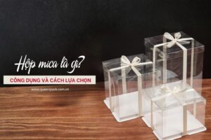 hop mica la gi