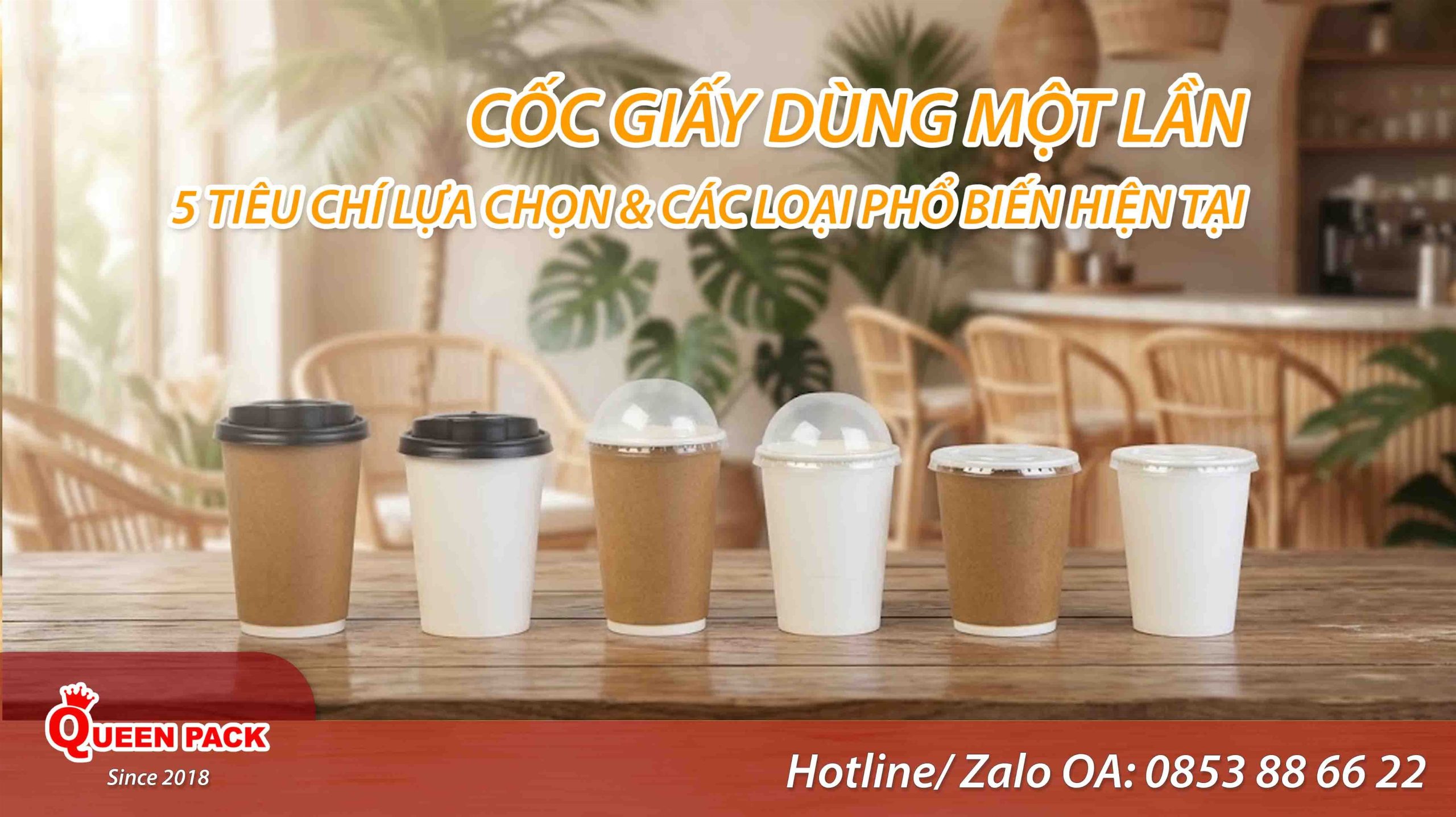 Coc giay dung 1 lan
